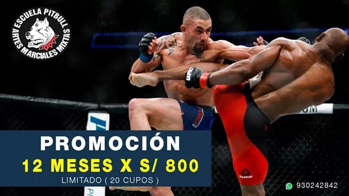 79665051_3189695531045955_8766186421896609792_n